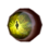 Crocodilian Eyeball.png