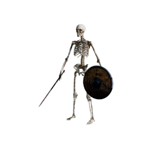 Skeleton Guardman.png