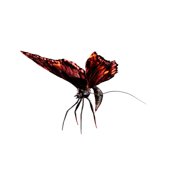 File:Flame Butterfly.png