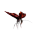 Flame Butterfly.png