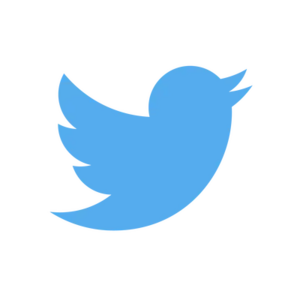 Twitter Logo.webp