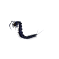 Thumbnail for version as of 15:16, 21 August 2026