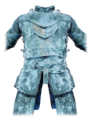 Frostlight Warden Outfit