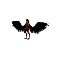 Harpy.png