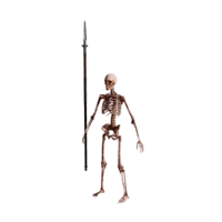 Skeleton Spearman Elite.png
