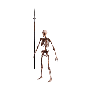 Skeleton Spearman Elite.png
