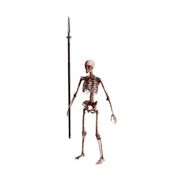 File:Skeleton Spearman Elite.png