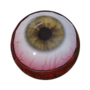 Cyclops Eye