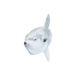 Ocean Sunfish.png