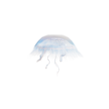 Thumbnail for version as of 15:17, 21 August 2026