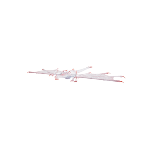 Frost Wyvern Elite.png