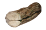 Cracked Log.png