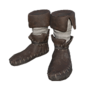 Buckled Boots