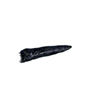 Hell Maggot Nightmare.png