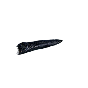 Hell Maggot Nightmare.png