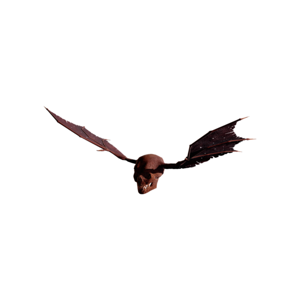 File:DeathSkull Elite.png