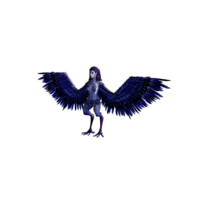 Ice Harpy Nightmare.png