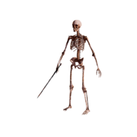 Skeleton Footman Elite.png