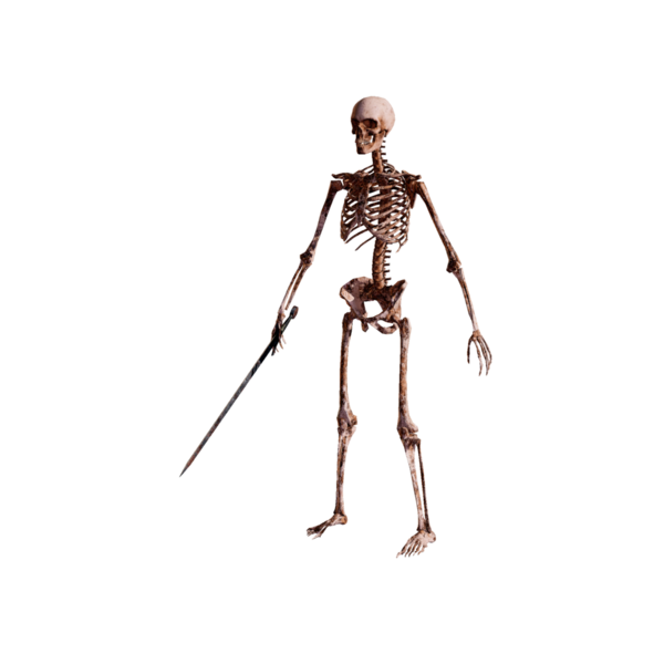 File:Skeleton Footman Elite.png