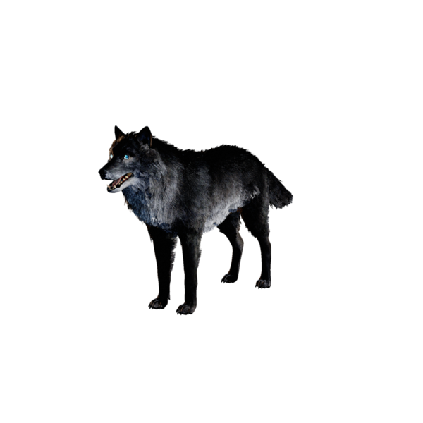 File:Dire Wolf.png