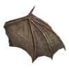 Bat Wing.png