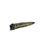Hell Maggot.png