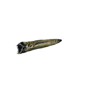 Hell Maggot.png