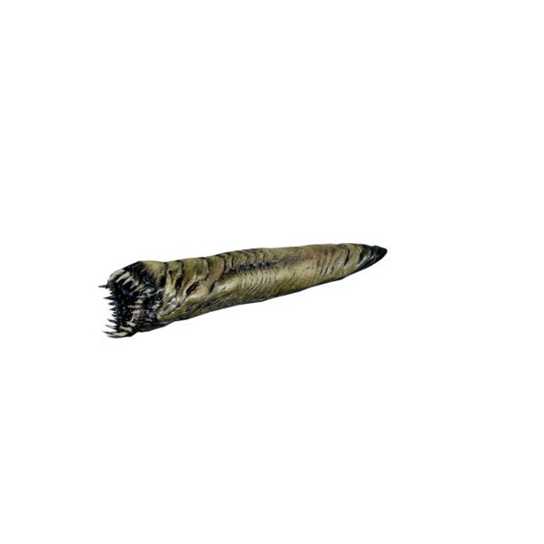 File:Hell Maggot.png