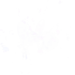 Wisp Nightmare.png