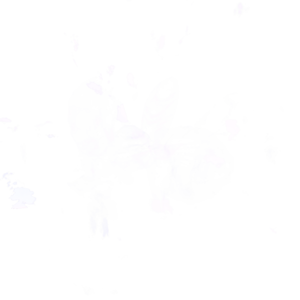 File:Wisp Nightmare.png