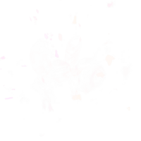 Wisp Elite.png