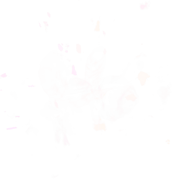 File:Wisp Elite.png