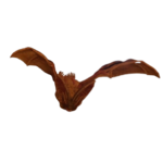 Giant Bat.png