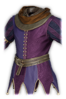 Jester Outfit