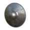 Thorn Shield