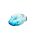 Napoleon Wrasse.png