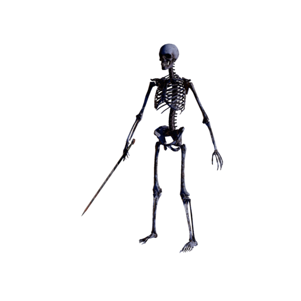 File:Skeleton Footman Nightmare.png