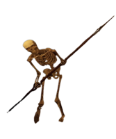 Skeleton Spearman.png