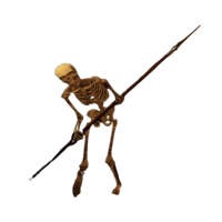 Skeleton Spearman.png