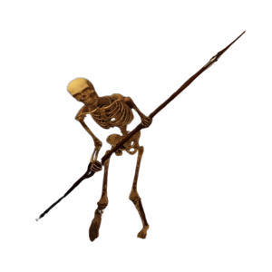 Skeleton Spearman.png