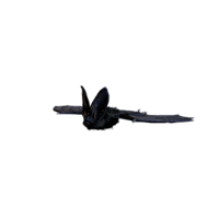 Giant Bat Nightmare.png