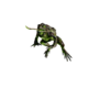 Little ToadPoison.png