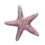 Starfish.png