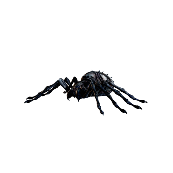 File:Giant Spider Nightmare.png