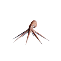 Octopus.png