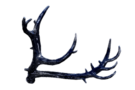 Crown of the Midnight Stag.png