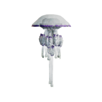 Giant Jellyfish.png