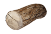 Sturdy Log.png