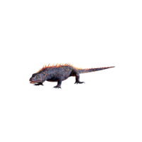 Fire Lizard.png