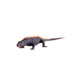 Fire Lizard.png